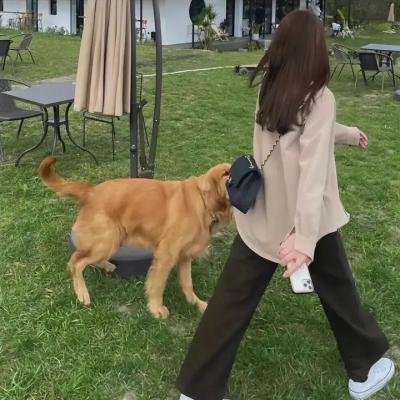 经典咏流传第二季